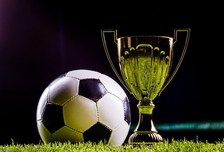 可以成为世 可以成为世