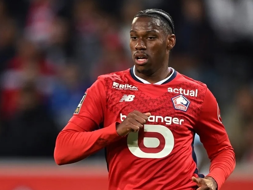 的队伍不仅 的队伍不仅